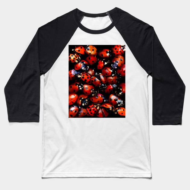 Ladybugs Baseball T-Shirt by MaxencePierrard